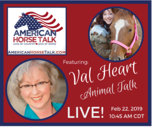 American Horse Talk LIVE:  Val Heart @ American Horse Talk Facebook PAGE