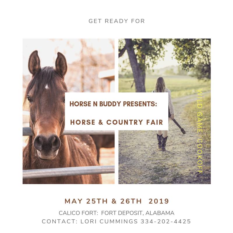 Horse and Country Fair